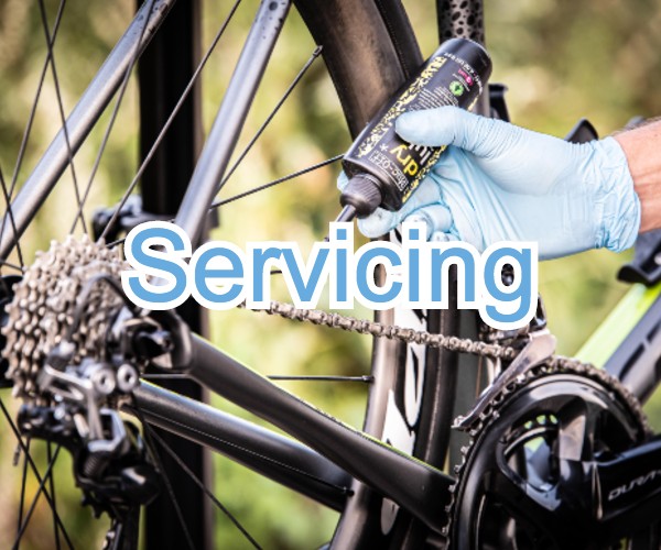 push bike servicing