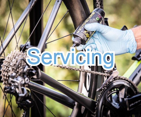 road bike servicing near me